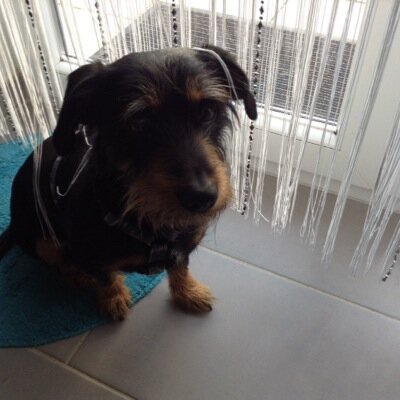 FidanHakan25's profile picture. 