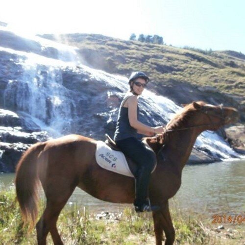 vjRene's profile picture. 