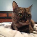 Dustin Painter - @DustinPainter1 - Twitter