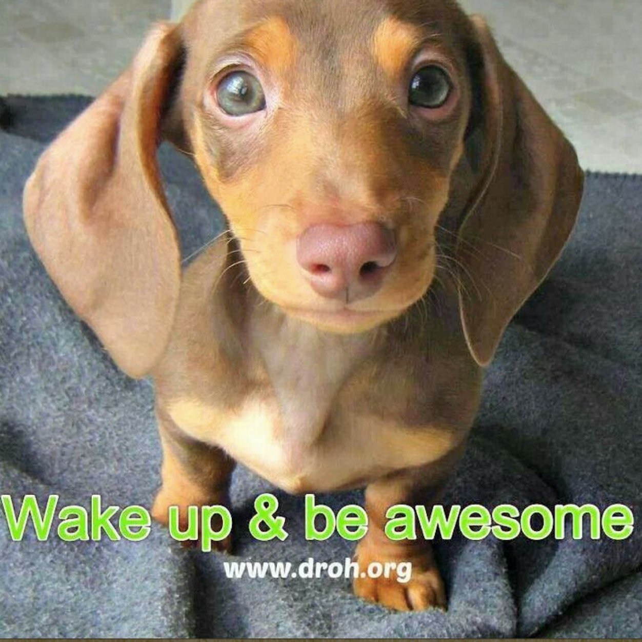 audralowe's profile picture. 