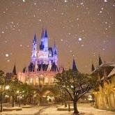 oyaj2221's profile picture. 普通のSNS感覚で使っていますので､いやらしい事目的完全ｽﾙｰですm(_ _)m 大切な人います〓[ハート] 住んでいる場所はｳｿです(^w^) 〓病み気味なので理…