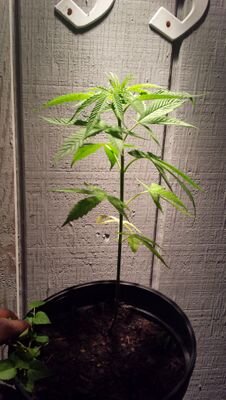 nicklittle76's profile picture. 