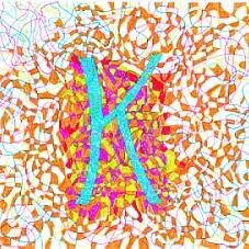 RonKreike's profile picture. Te weinig kunstenaar.
Startpagina:
http://t.co/pGMkFNBGra