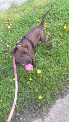 lillygarland1's profile picture. 