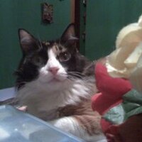 Y@my (@yvhf666) 's Twitter Profile Photo