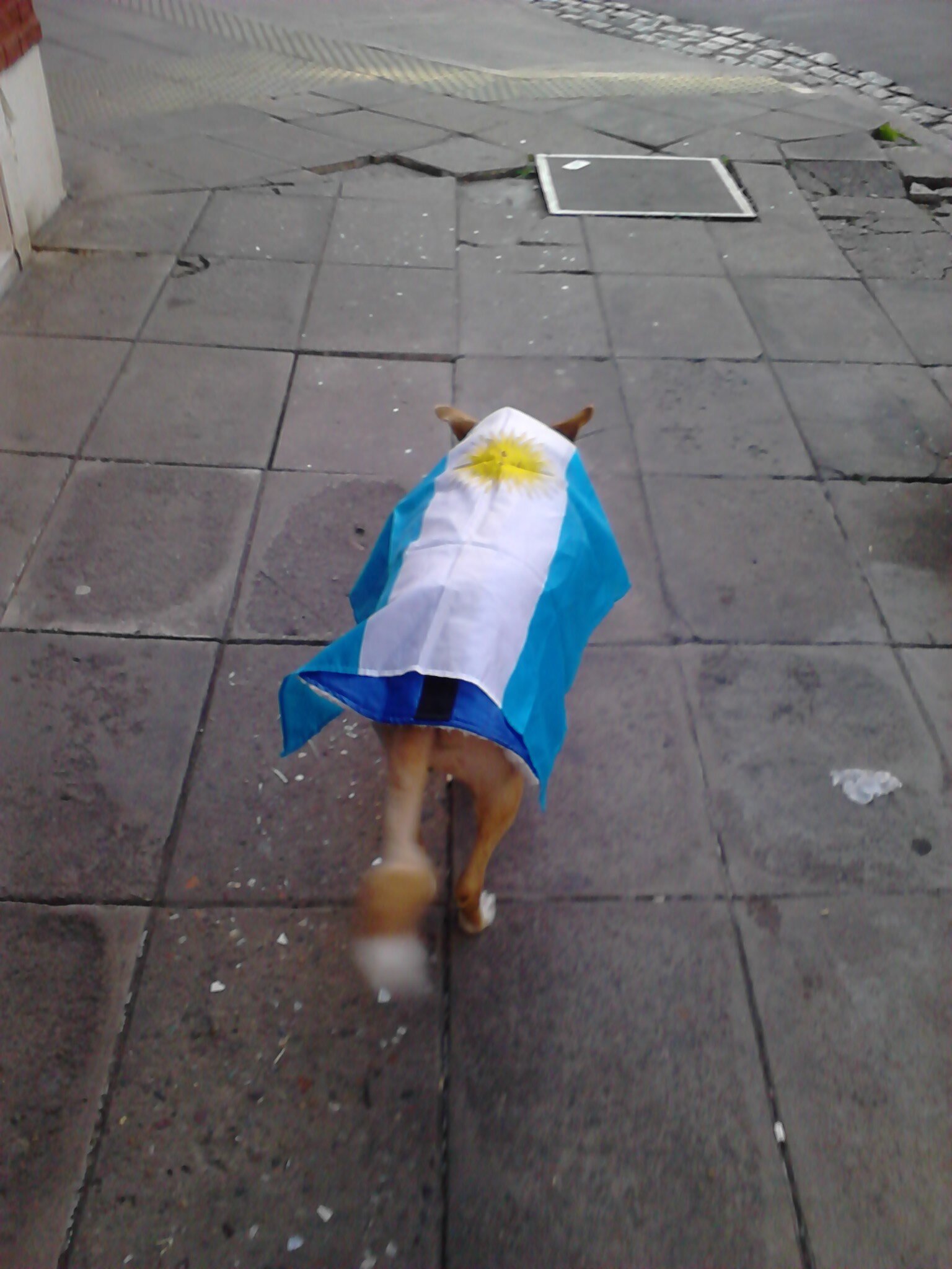 Misionera, abogada, bostera y del colectivero... una persona feliz y agradecida!♥