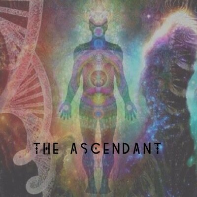 Just a hardcore band about to put out our first demo so we figured we'd throw up a twitter. What's up twitter folk.