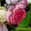 Houda Mohamd (@0281ffc85dd244d) Twitter