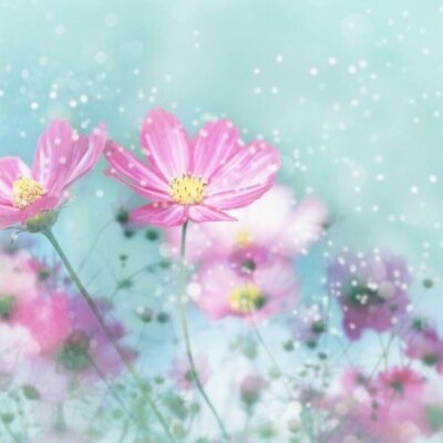 alen12342's profile picture. سبحان الله العظيم سبحان الله وبحمده