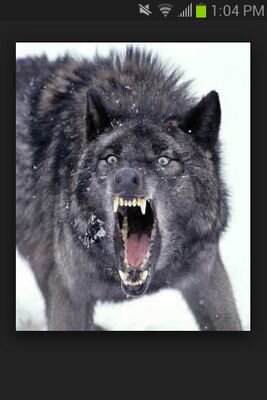 kdogg28278's profile picture. 