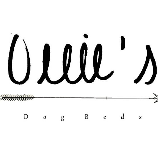 Ollie's Dog Beds (OlliesDogBeds) Twitter