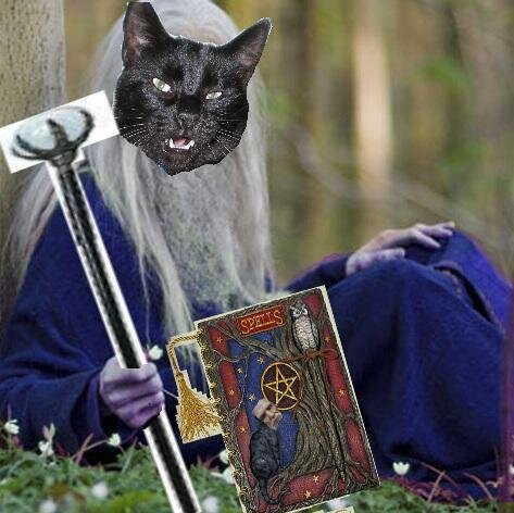 I'm into creepy ghost stuff, you know, the paranormal.Introvert, love to read and garden play videos games and cats 3