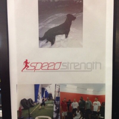 SpeedStrengthSystems