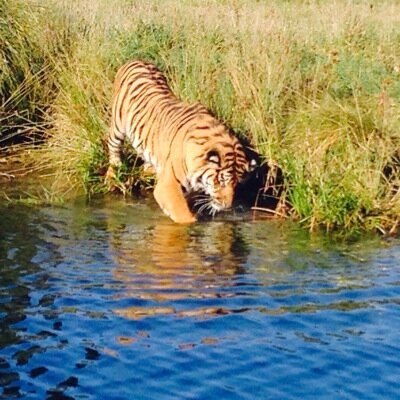 pixilis's profile picture. I Love Life, Dancing and getting creative