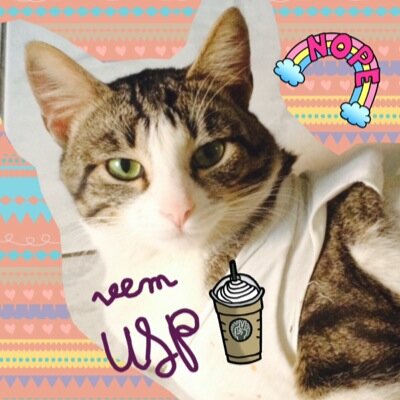 twitter não faz você passar na usp