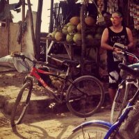 vildy pidu timbalino (@vildypidu20) 's Twitter Profile