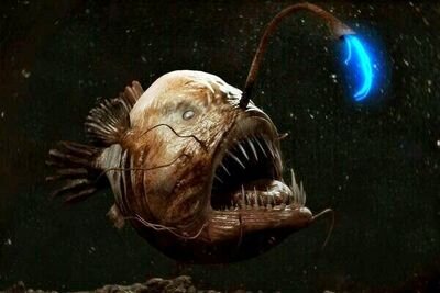 jbudzo's profile picture. heavy metal dad