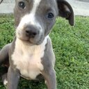 Eric Urias - @emjcmr7ERIC - Twitter