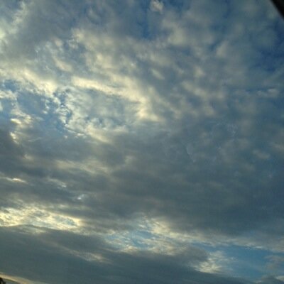 cvffiend's profile picture. 