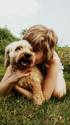 HersheyCockapoo's profile picture. 