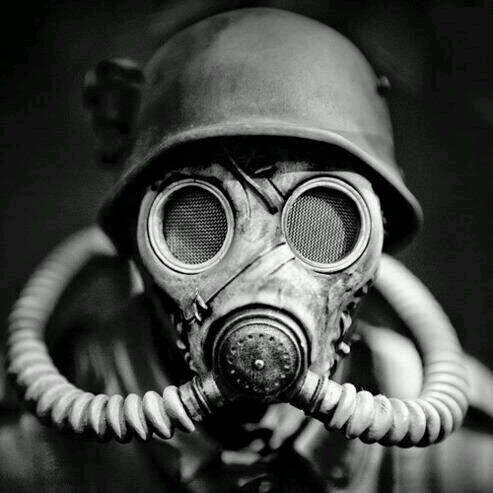 Subtenauta001's profile picture. 