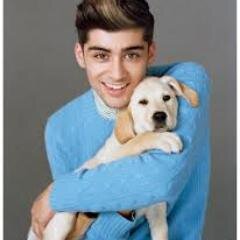 Directioner
