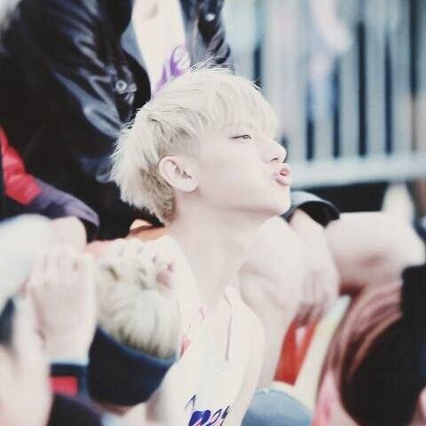 Annyeong! Please follow @Imhztpandabear instead of this account. She follows back, just ask. Gomawo :) | NOT YOUR ORDINARY FANGIRL | OT12