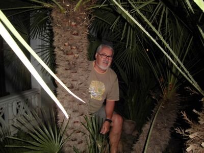 19975880's profile picture. 