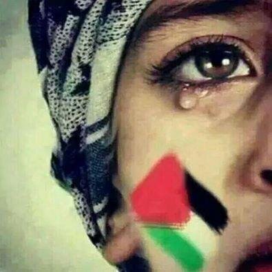 sisi_sab's profile picture. 