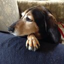 Jack Barbour - @Jack_Barbour27 - Twitter