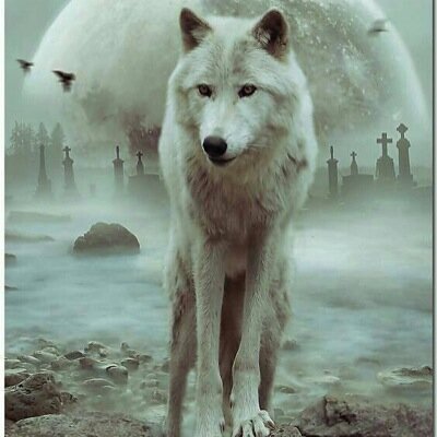 James00229092's profile picture. 