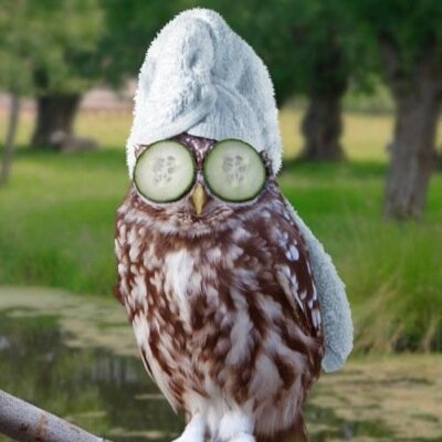 OldOwls's profile picture. 