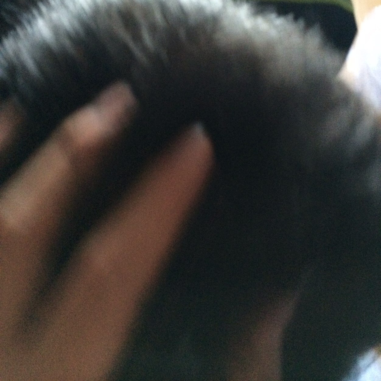 simpleisbetter1's profile picture. 滋賀でなんとか頑張って生きている高校生です。あまり呟きません。ってか、滅多に呟きません。（何のためのtwitterなのか…）趣味でギターを練習してます。趣味は神社巡り。以上！