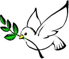 lord have Mercy save the people of Palestine !! from Jews they are killing little children