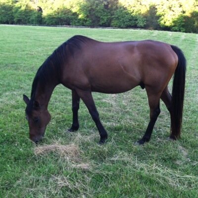 jdrath5's profile picture. 