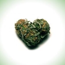 see a person like me, smoke weed till I hallucinate