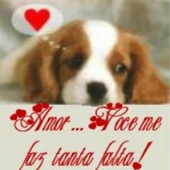 HacheTlv's profile picture. 