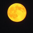 Donna Murdock - @dmurdock61 - Twitter