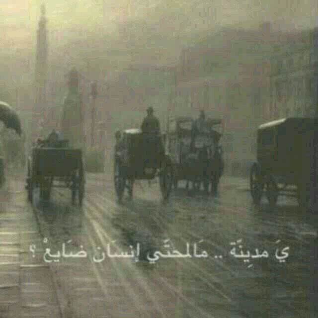 ؛♥♥¿