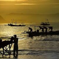 Live SUKABUMI (@livesukabumi) 's Twitter Profile