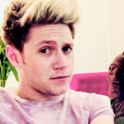 zengemeu's profile picture. não nasci pra essa vida de amar um viadinho que dedica a bio pra ketchuTE AMO NIALL FOLLOW ME IT'S MY DREAM