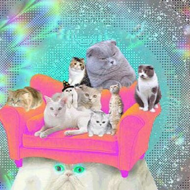 princessxchill's profile picture. Ur ugly