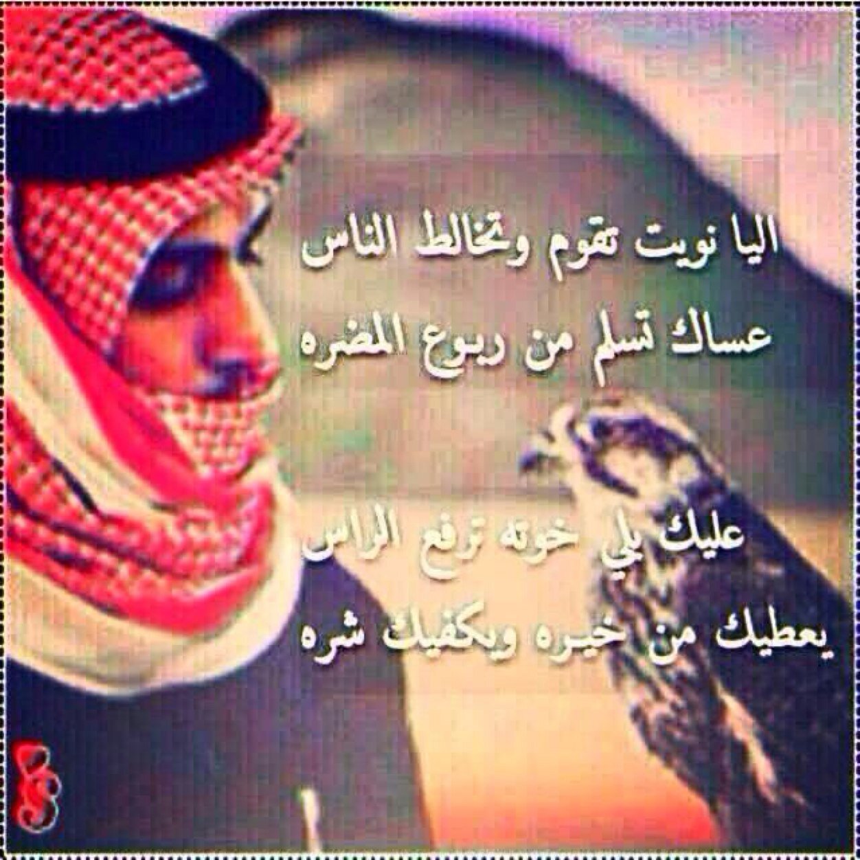 (العريني)