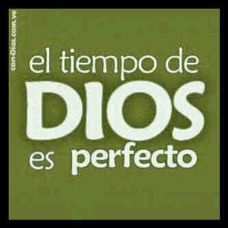 anibalgato40's profile picture. 