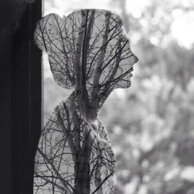 tarafksa2's profile picture. 