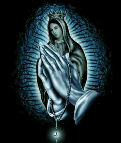 excelentedia10's profile picture. 