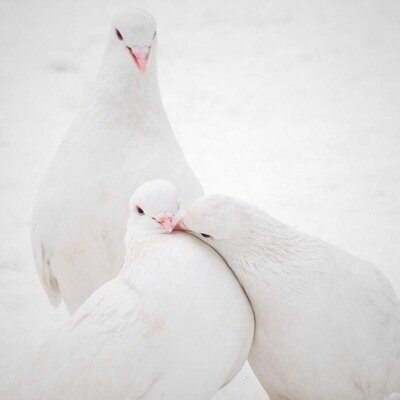 JmalQ1's profile picture. اللهم اغفري وتب علي أنك انت التواب الرحيم