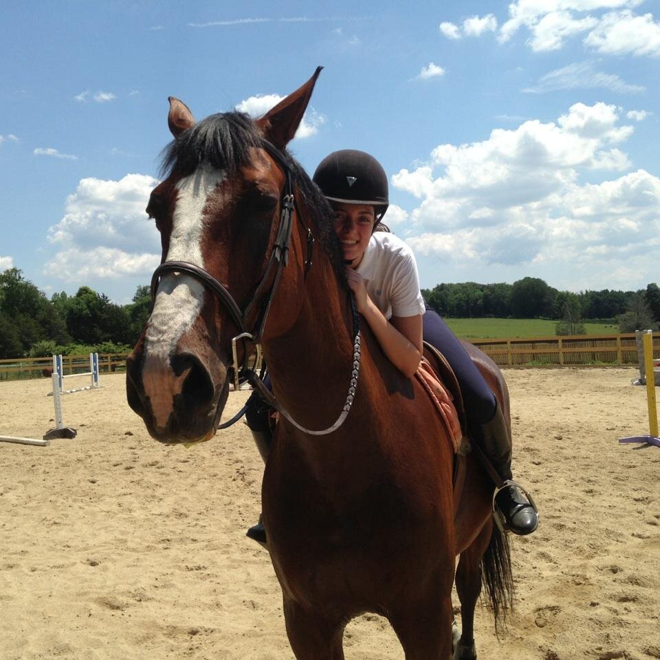 Just a broke ass equestrian trying to graduate high school and make her lifelong dream her occupation.