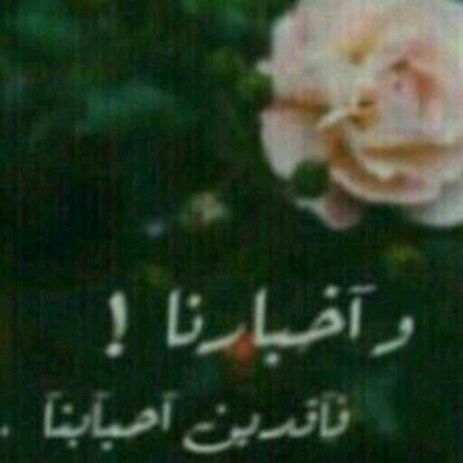 ابها