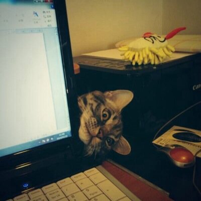 rakarakapaaan44's profile picture. 